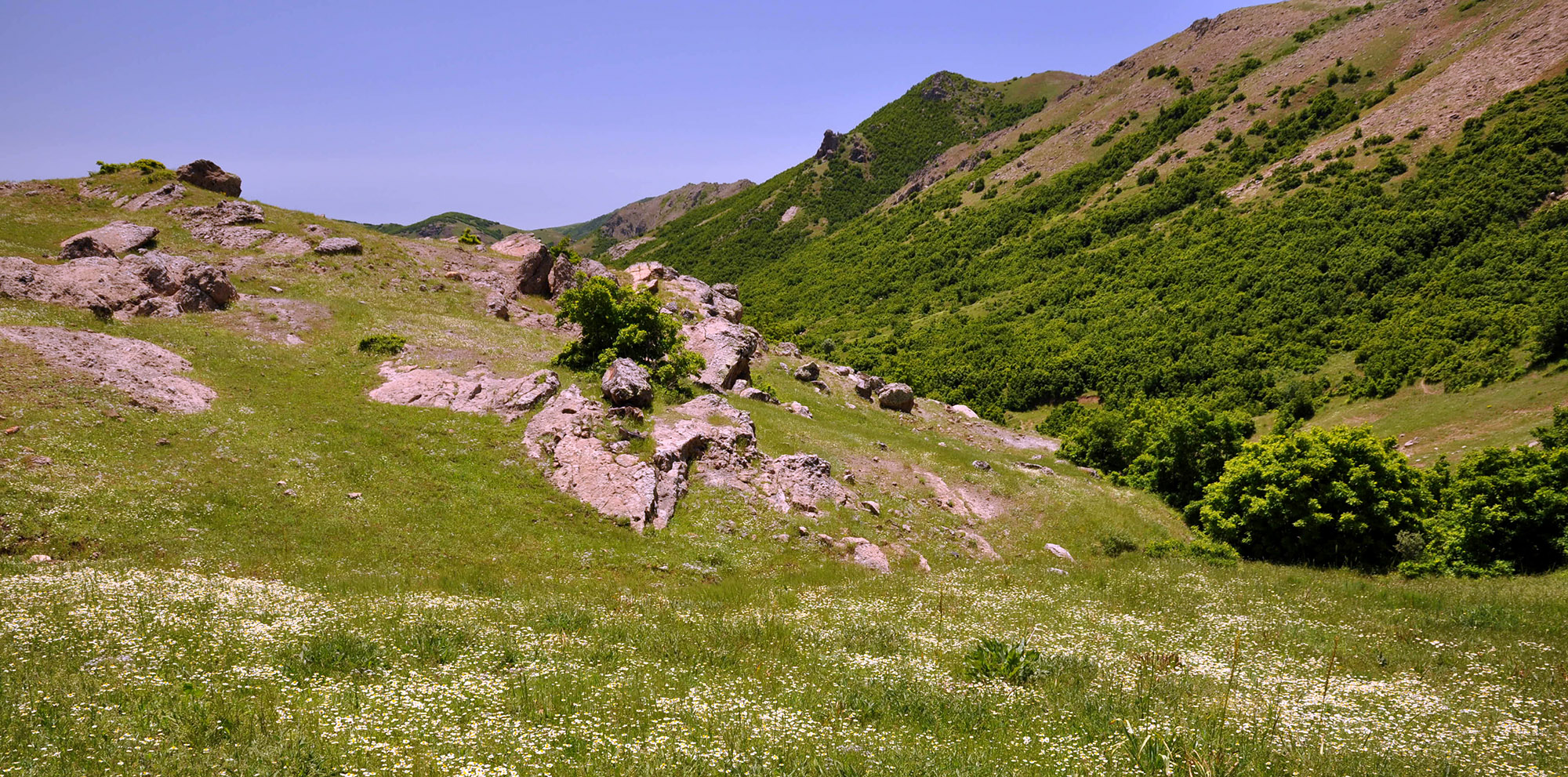 Buğlan Geçidi environs