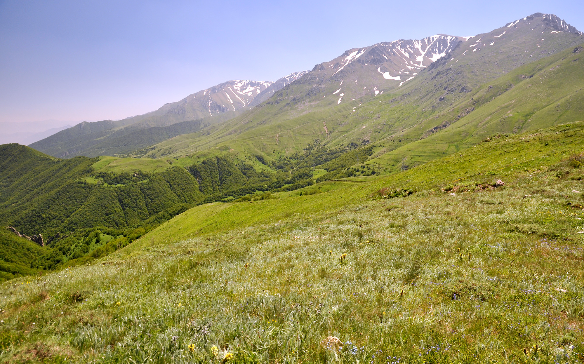 Mountain meadows in Kajaran environs